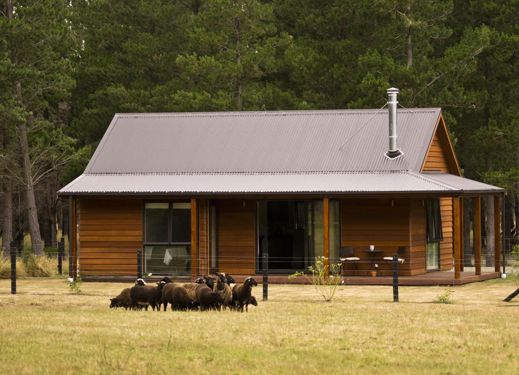 Woodbank Park Cottages Hanmer Springs Habitación foto